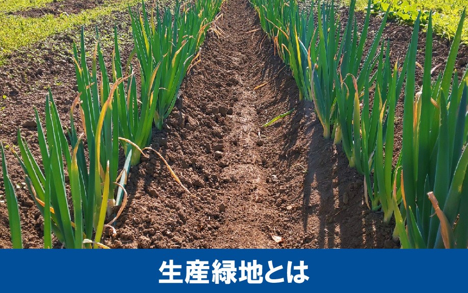 生産緑地とはなにか？農地の売却に関する2022年問題とは？